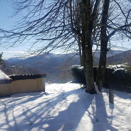 Auberge Les Myrtilles Le Bosc  Exterior foto