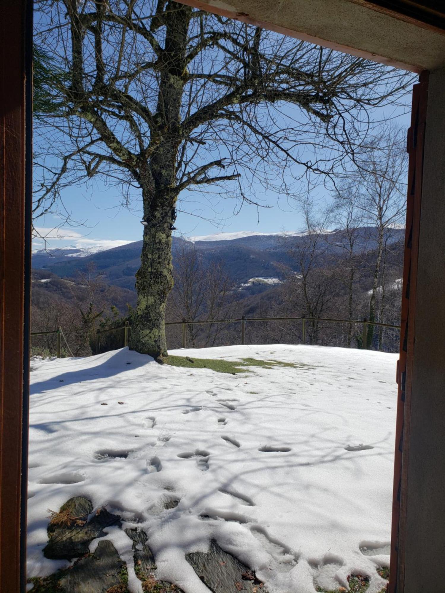 Auberge Les Myrtilles Le Bosc  Exterior foto