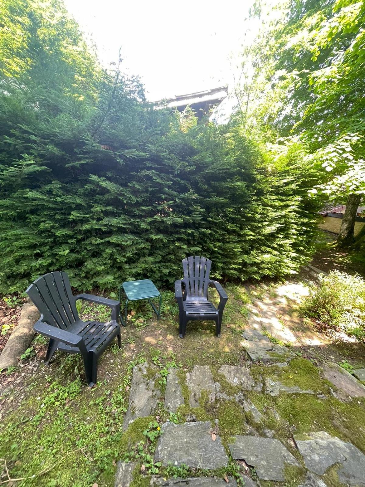 Auberge Les Myrtilles Le Bosc  Exterior foto